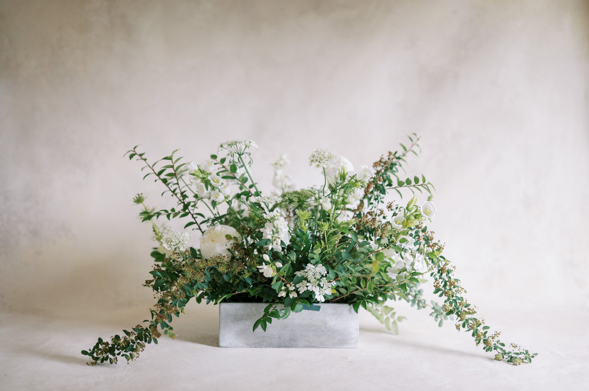 TWIG-alacarte-10.jpg