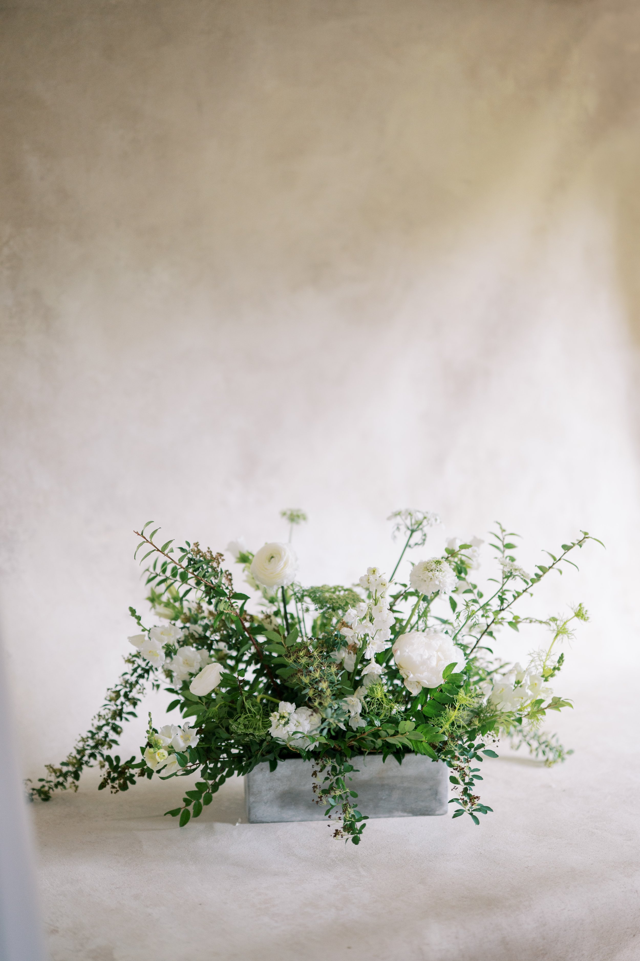TWIG-alacarte-12.jpg