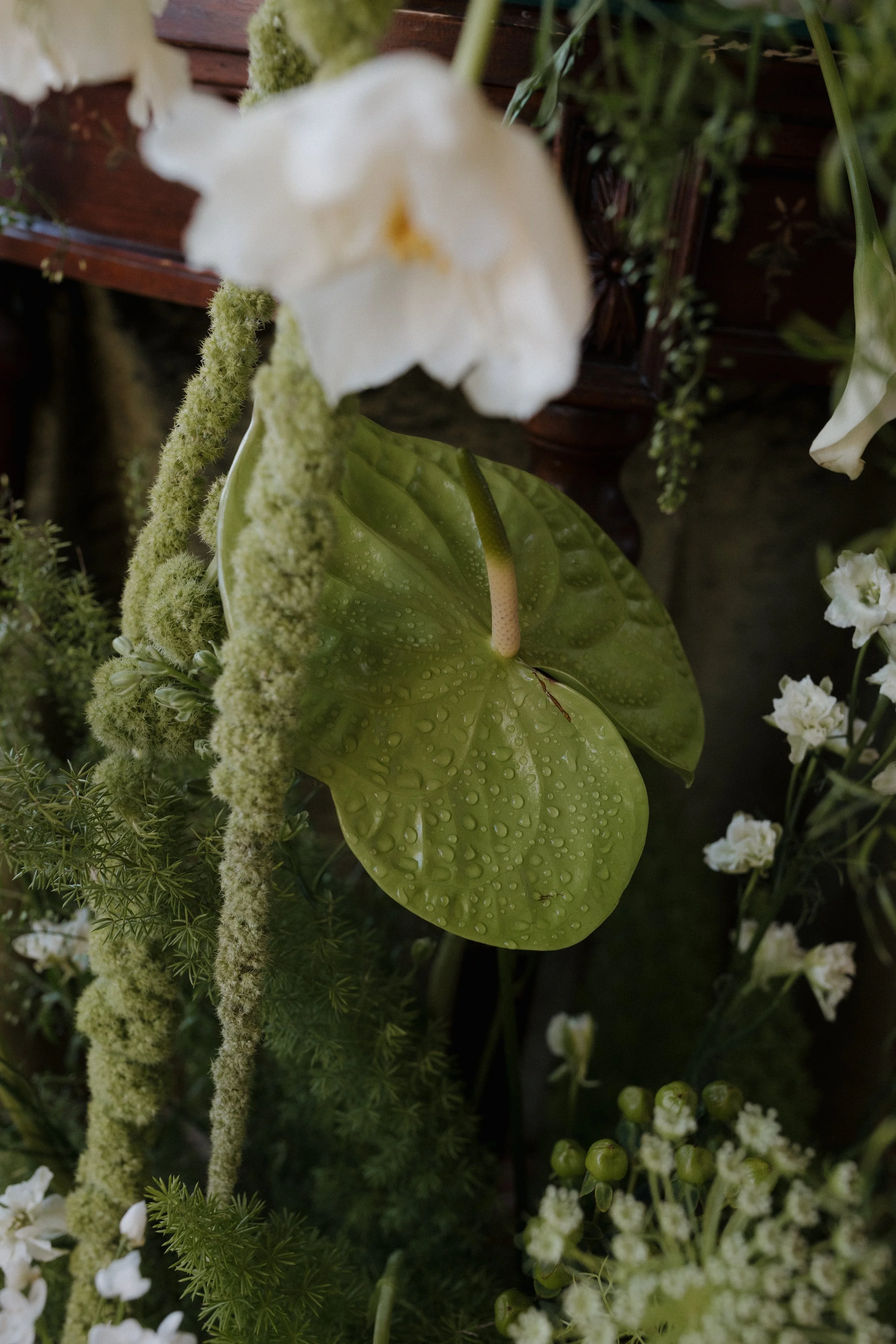 Close-up of a green anthurium leaf with water droplets, surrounded by various white flowers and greenery.