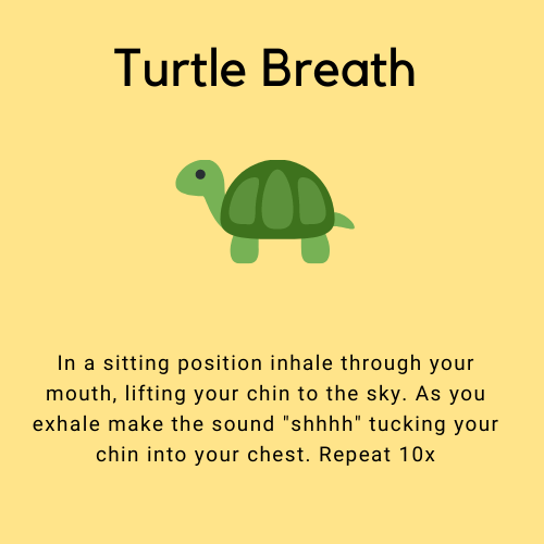 Smell the flowers In sitting position, inhale as you rotate your abdomenhips forward leaning towards the ground and exhale as you round back around. Finding an exhale to come back to center before switching di (7).png
