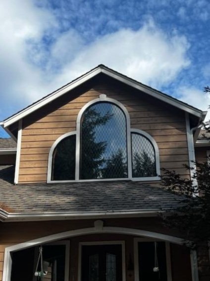 Protecting Migratory Birds: A Call for Bird-Friendly Windows