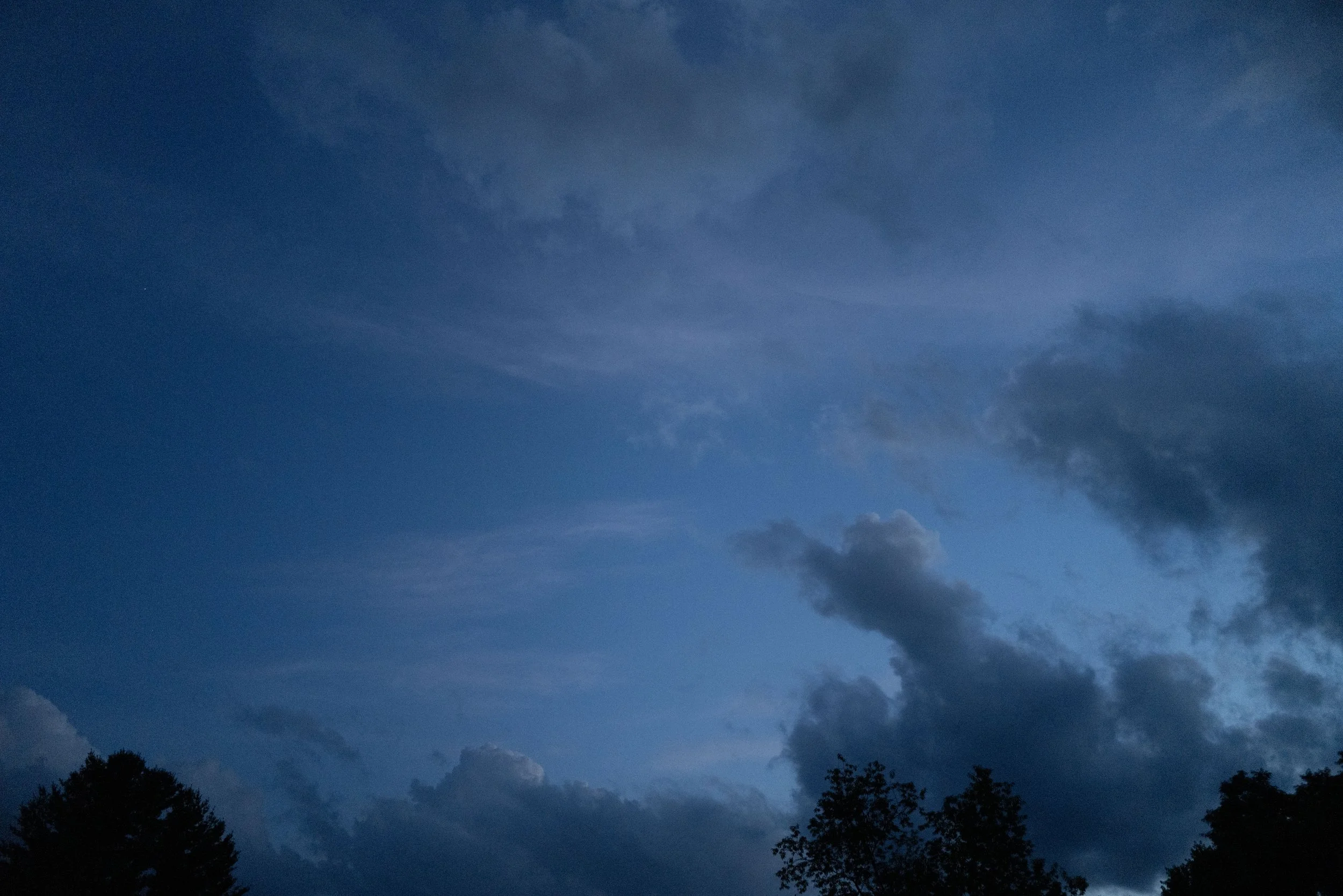L1000902.jpg