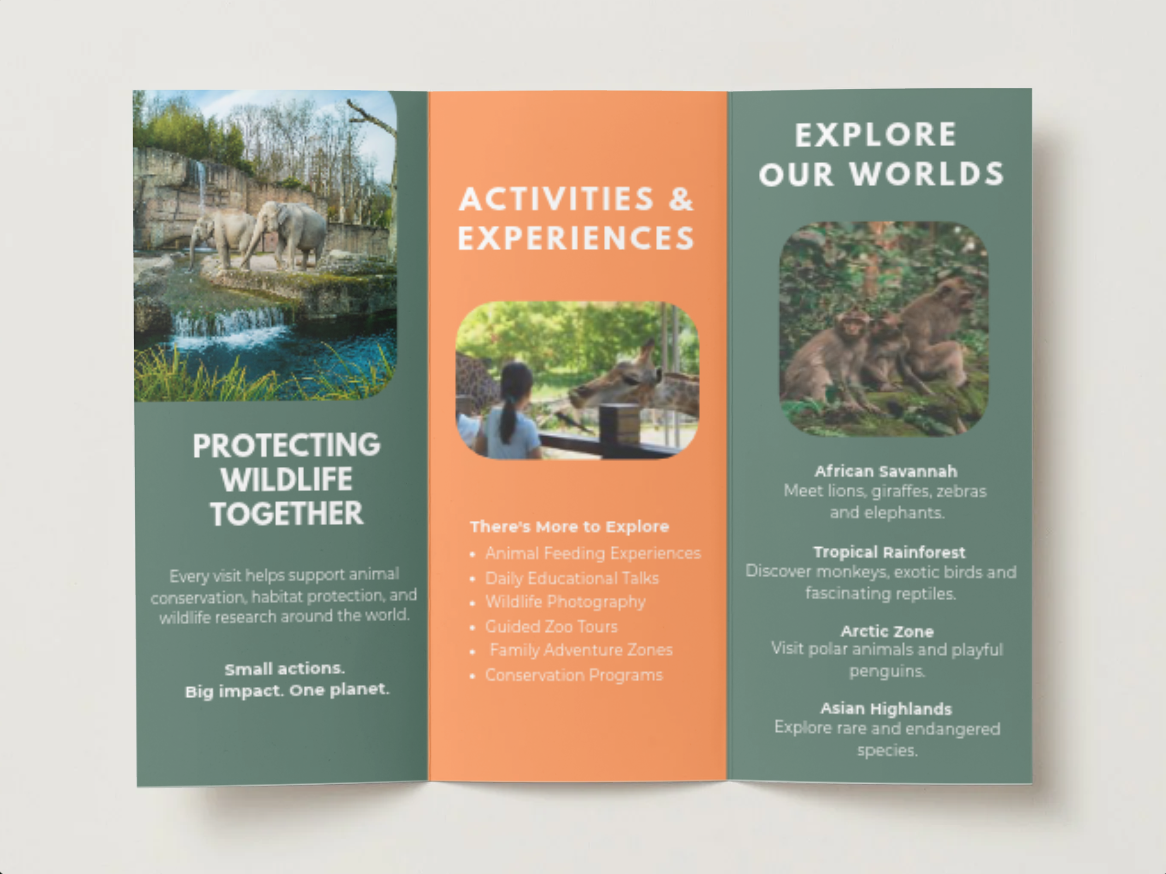 Brochure 2.png