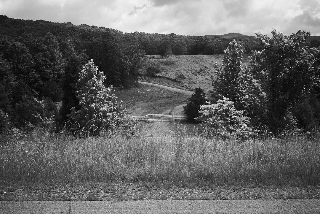 Black and white landscape photo of a rural scene with trees, grassy hills, a white fence, and a mountain in the background.