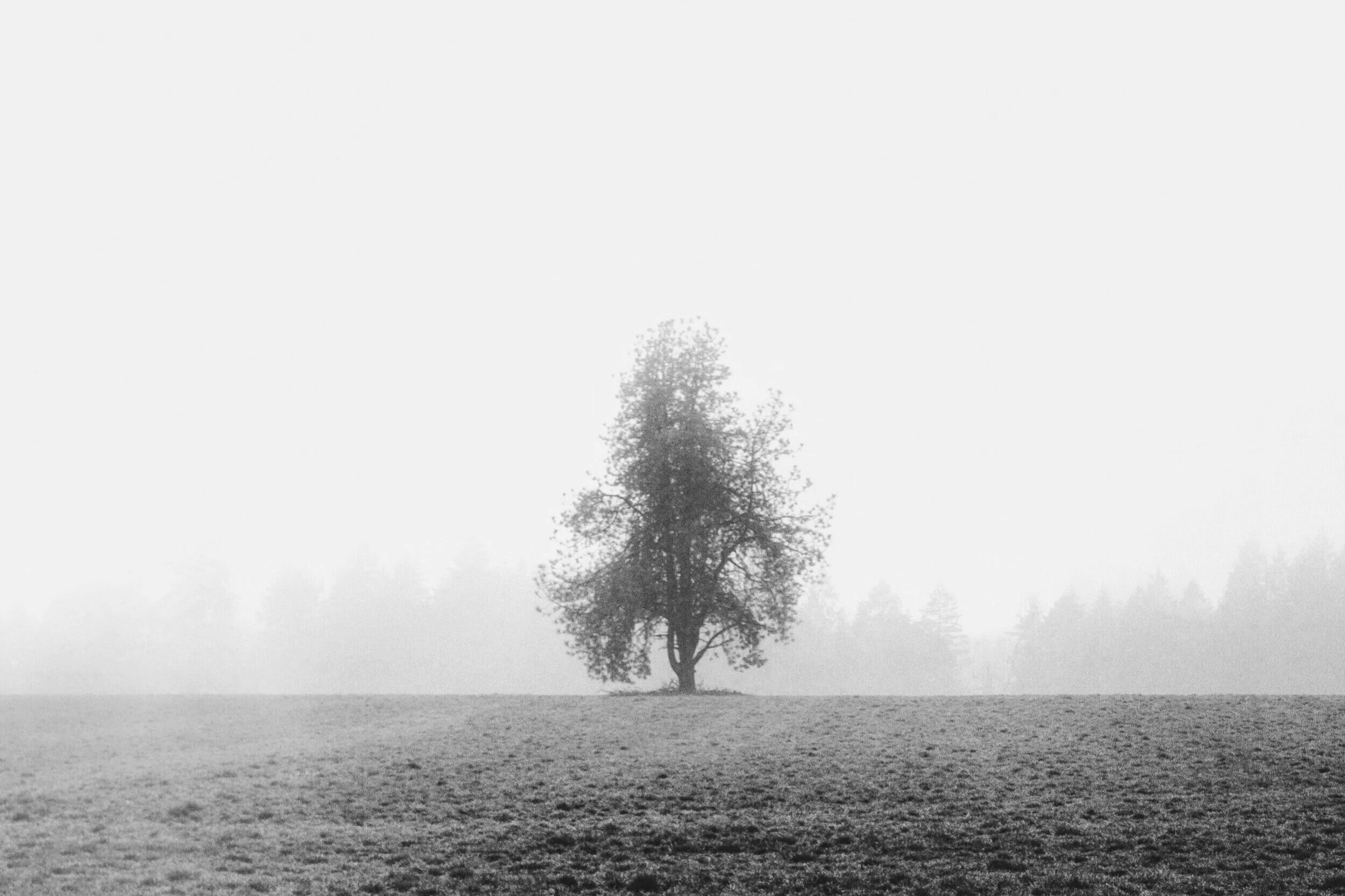 Individual Therapy, Counseling, Psychotherapy