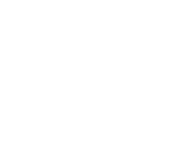 Centaurus Securities S.A.
