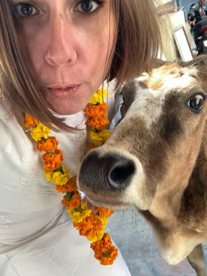 IMG_7860.jpeg