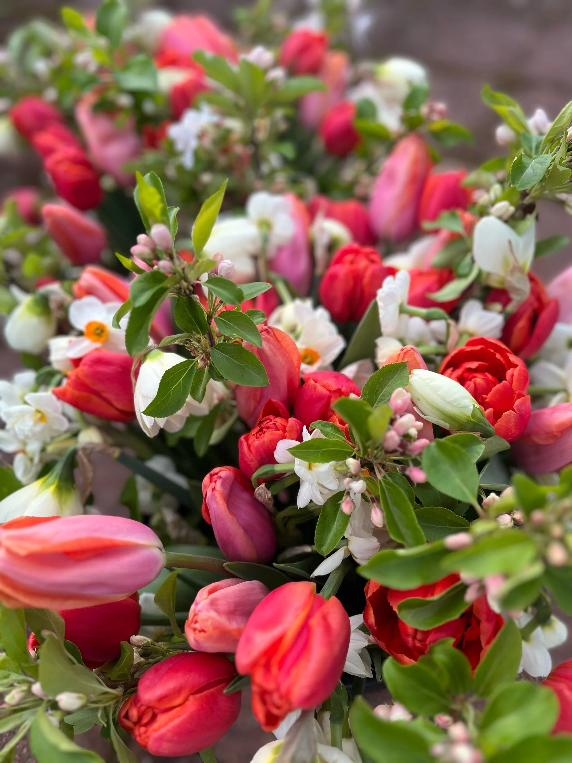 Spring flower subscription