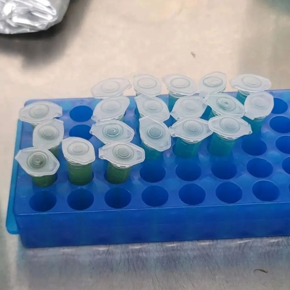 Filter-sterlized for some dip-n-sticks

#tissueculture