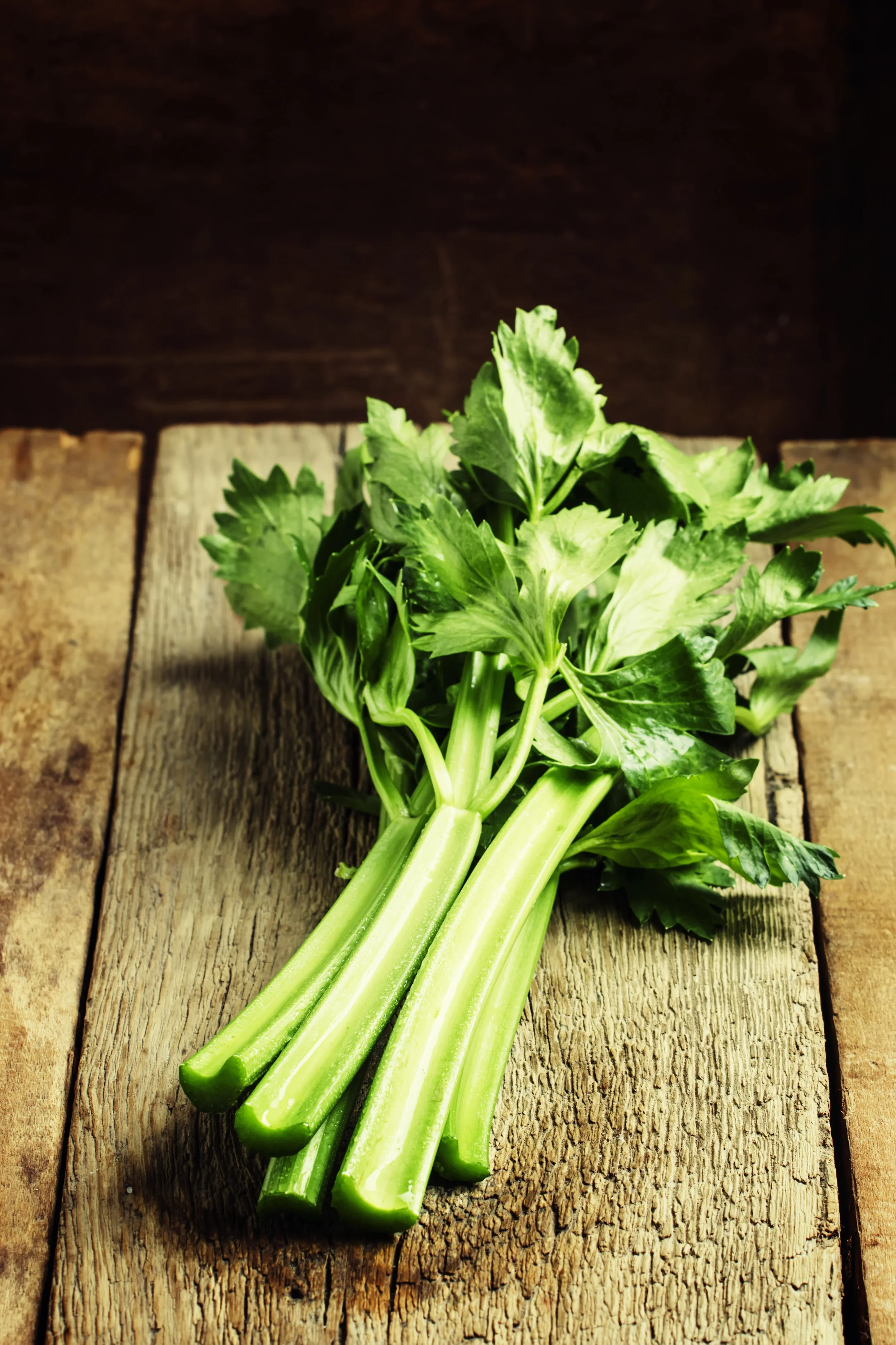 celery.jpeg