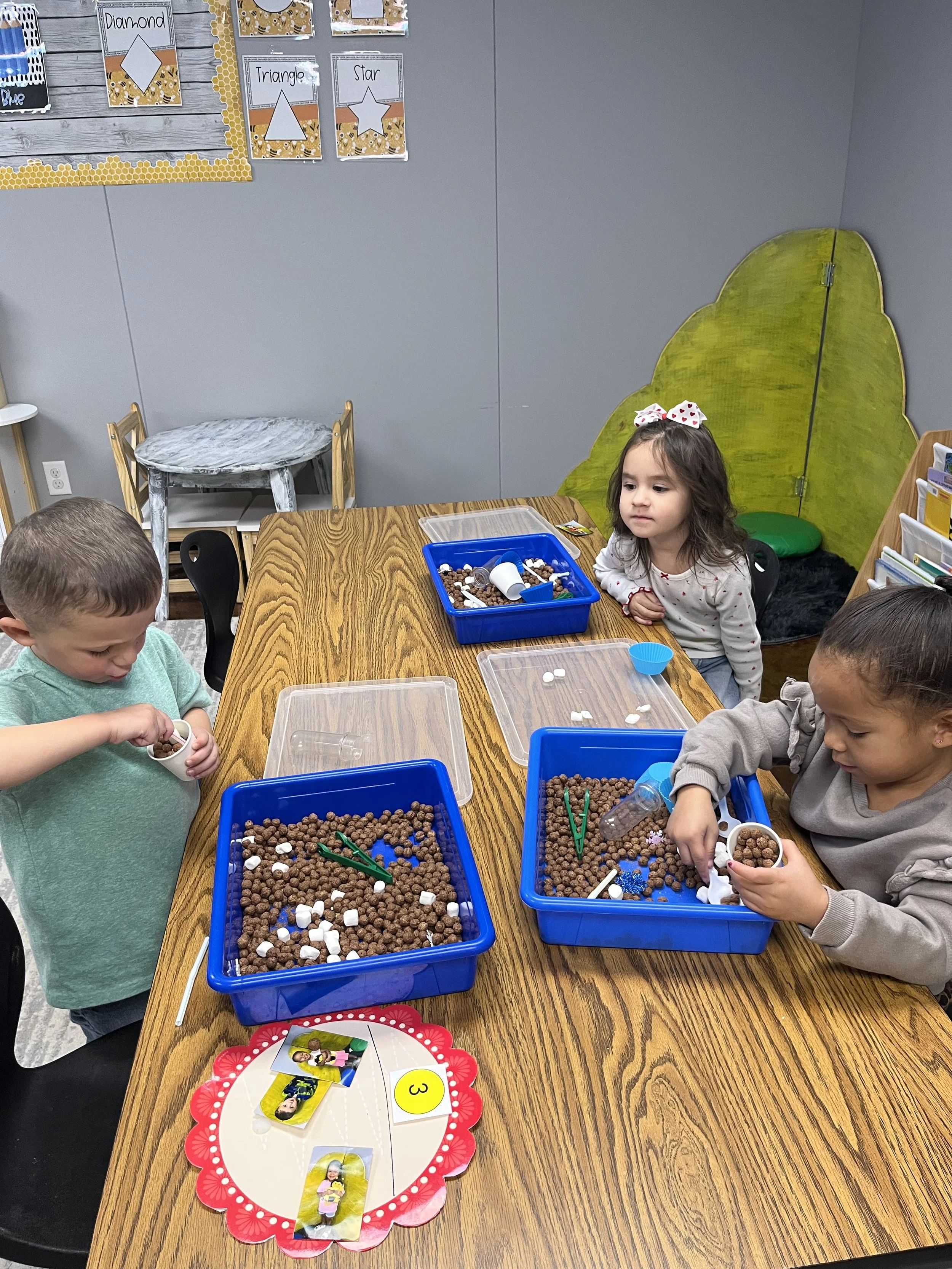 Photo Jan 12 2026, 11 08 21 AM.jpg