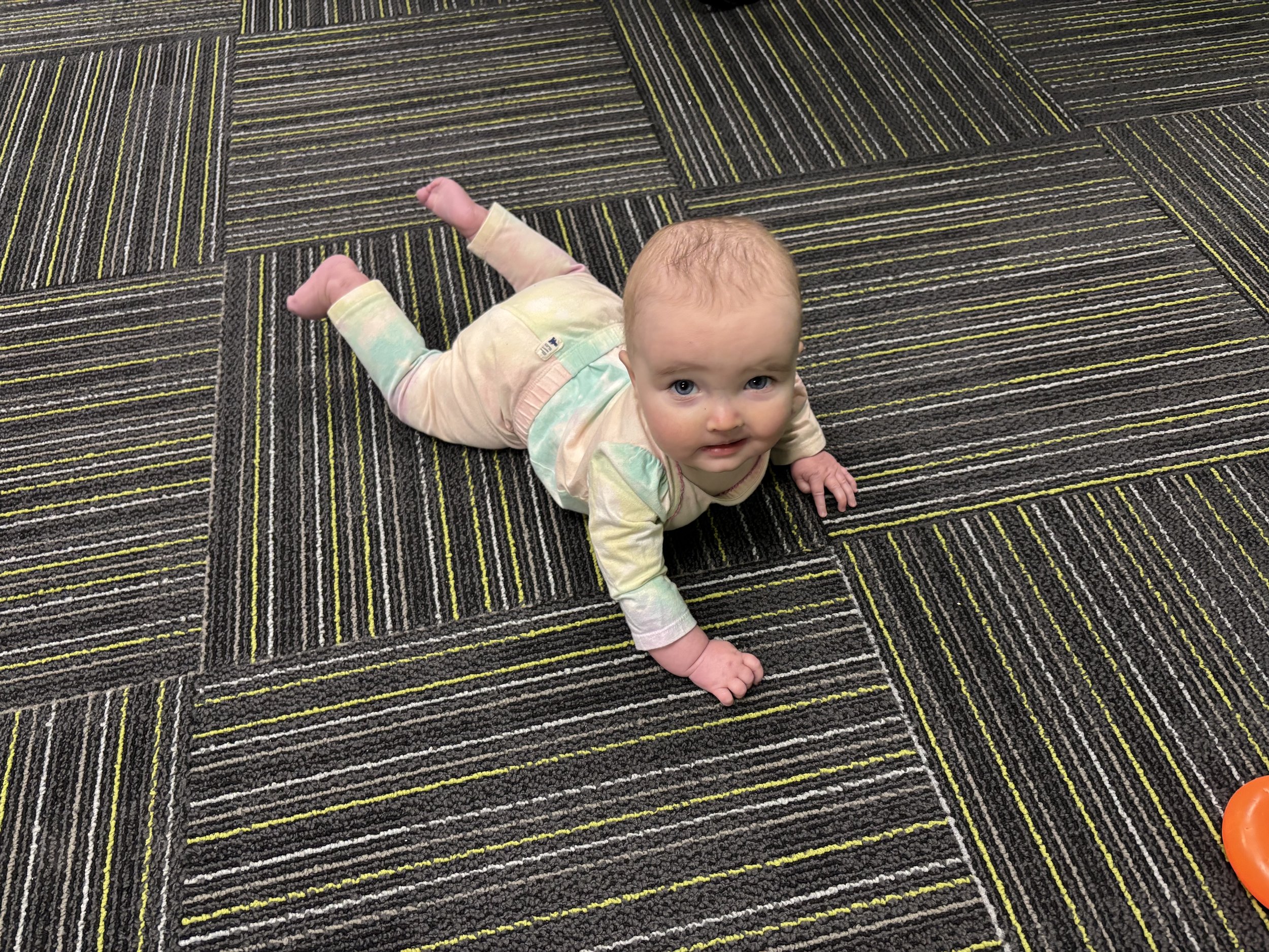 Photo Dec 08 2025, 8 56 47 AM.jpg