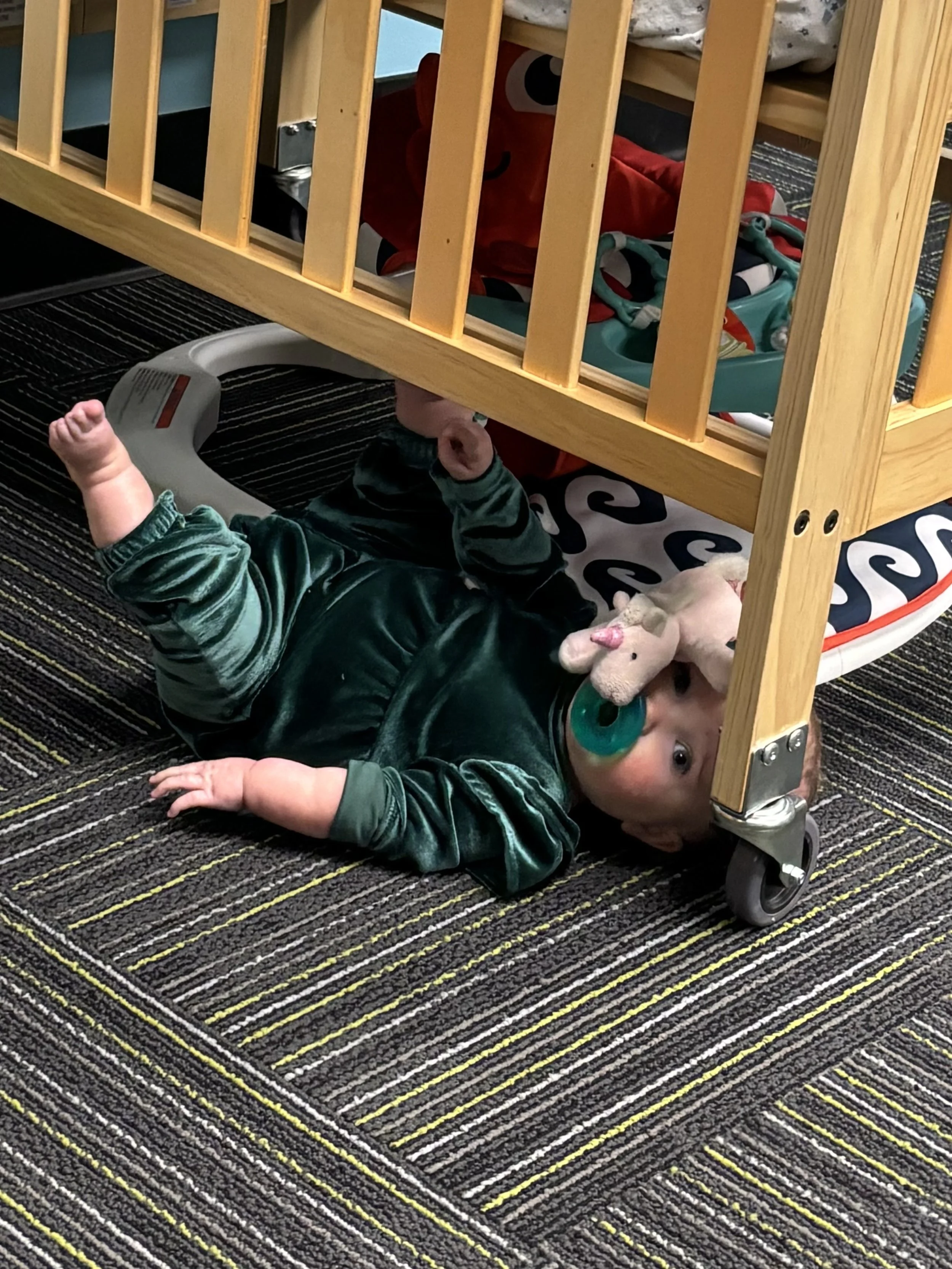 Photo Jan 19 2026, 10 39 25 AM.jpg