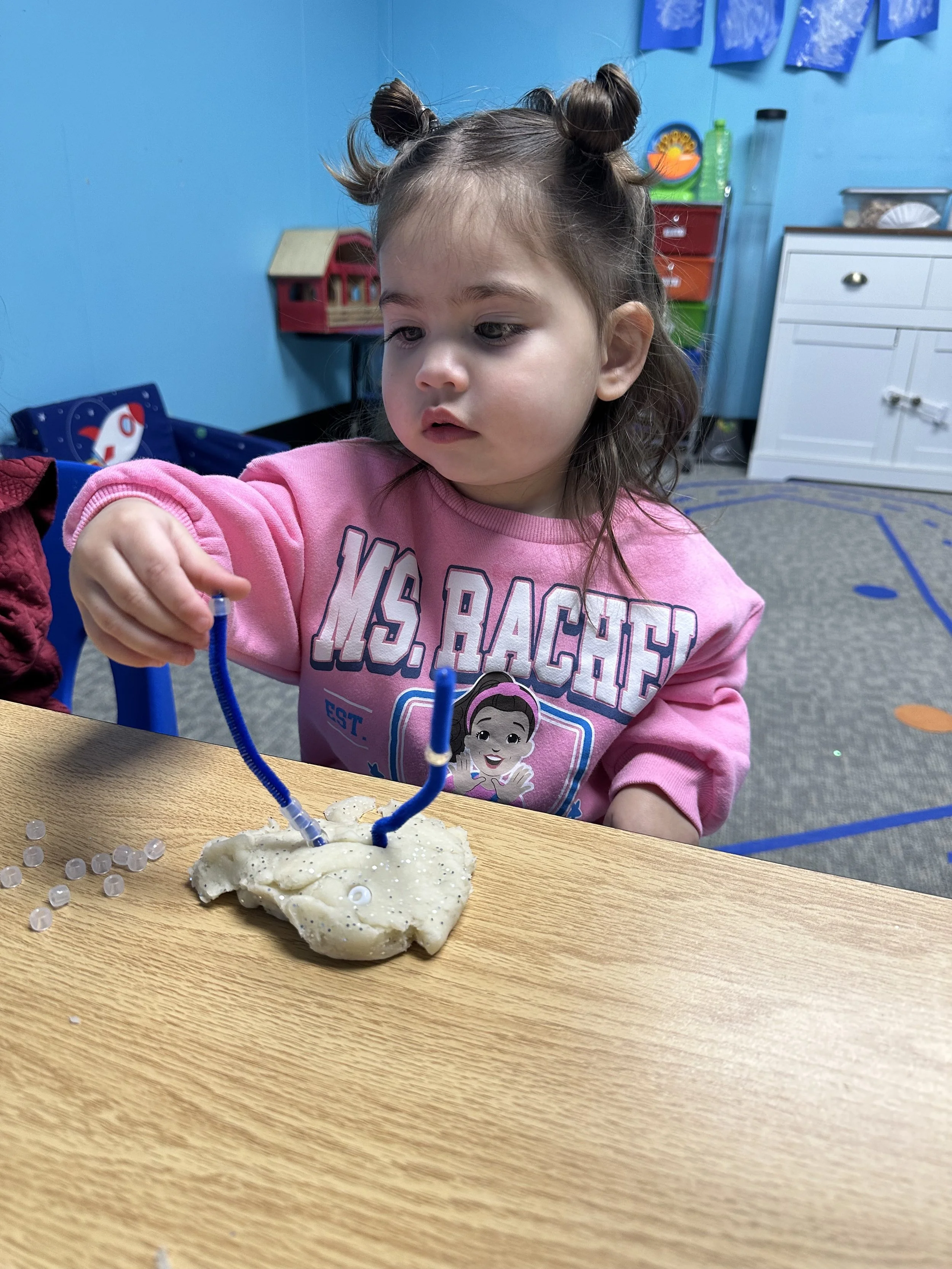 Photo Jan 19 2026, 9 55 32 AM.jpg