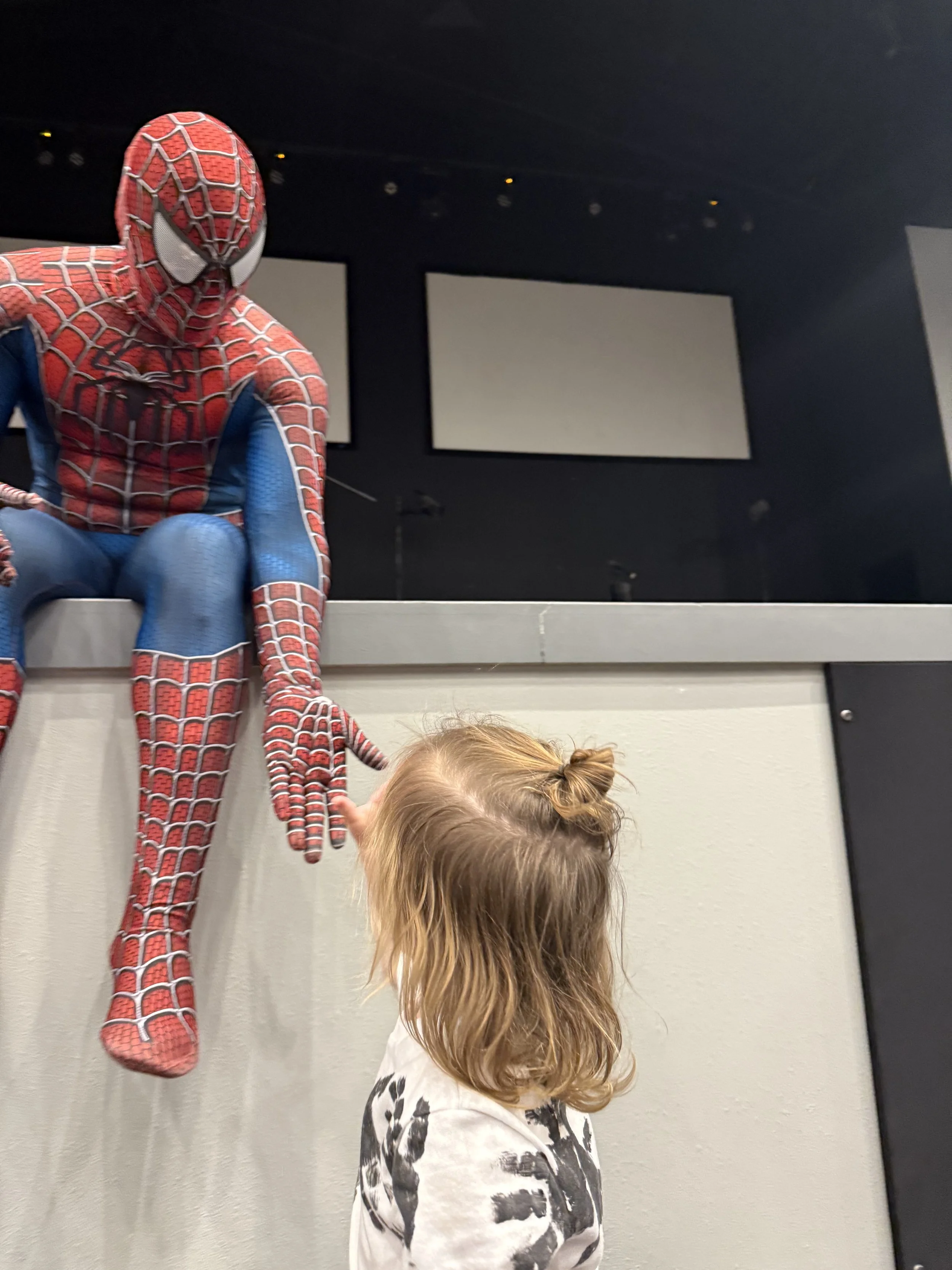 Photo Oct 30 2025, 10 05 56 AM.jpg