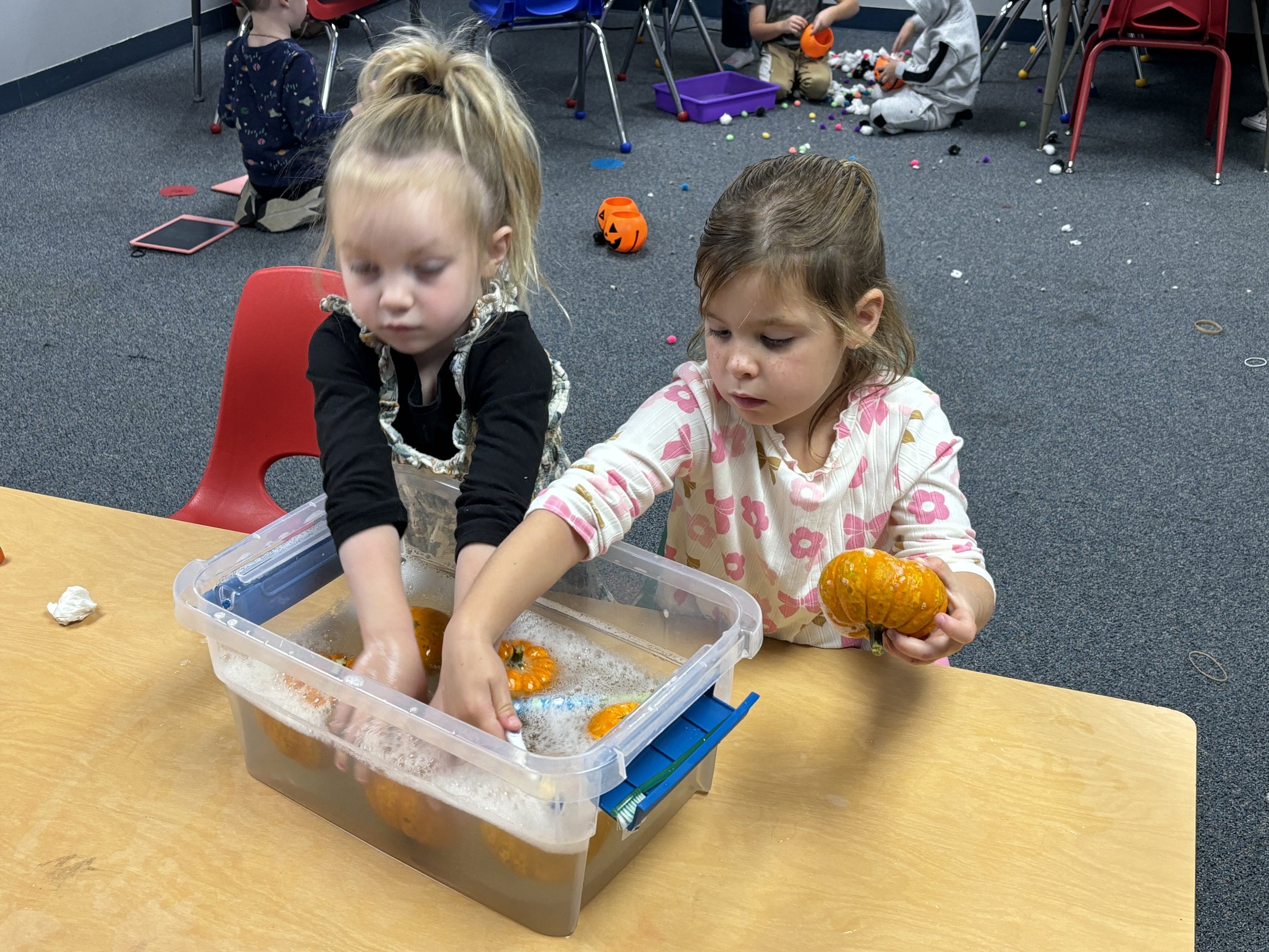 Photo Oct 29 2025, 10 20 10 AM.jpg