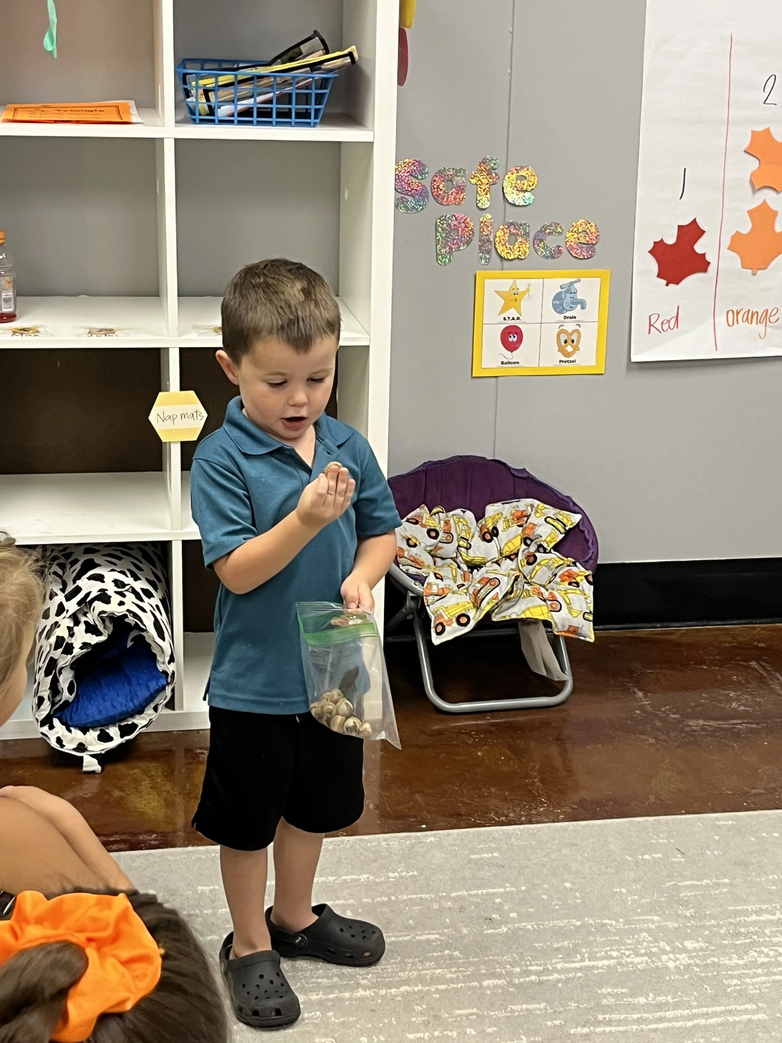 Photo Oct 02 2025, 12 11 54 PM.jpg