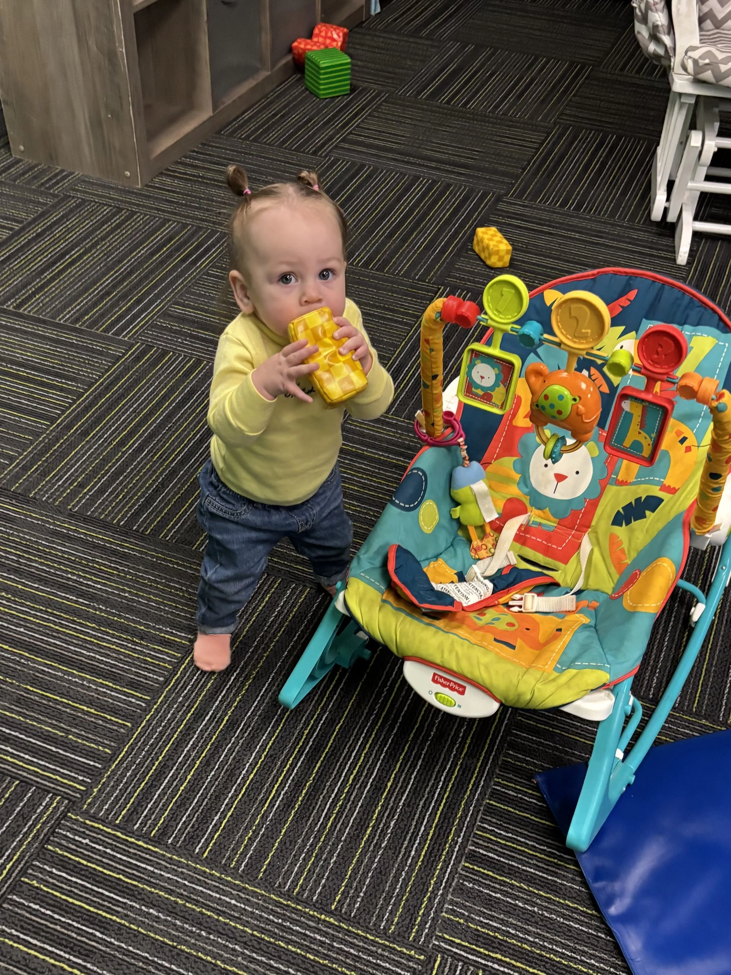 Photo Jan 14 2026, 2 37 31 PM.jpg