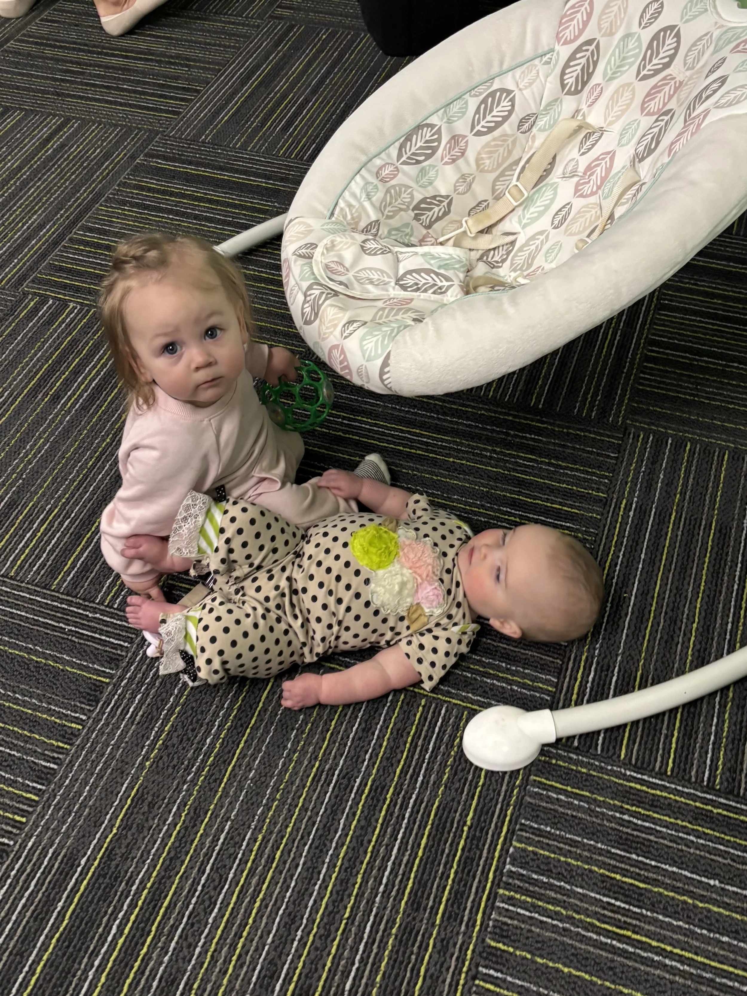 Photo Jan 08 2026, 2 24 17 PM.jpg