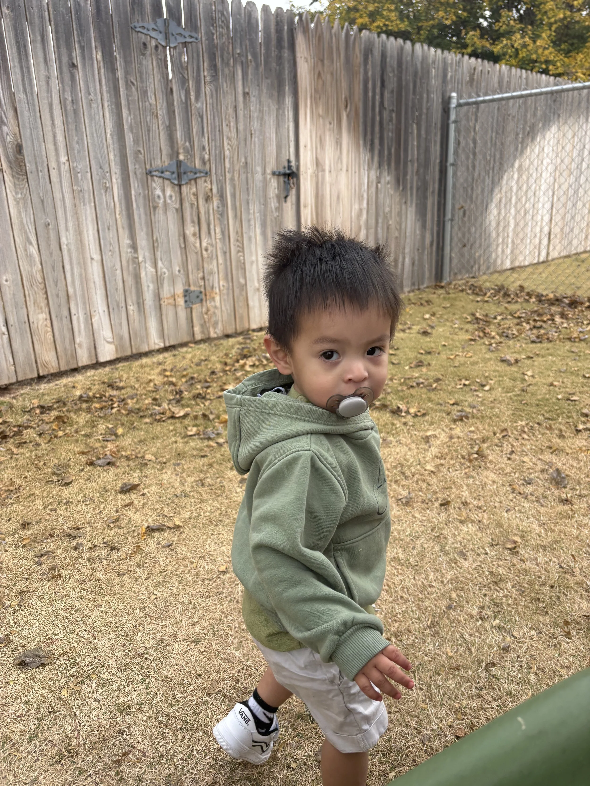 Photo Nov 19 2025, 9 37 33 AM.jpg