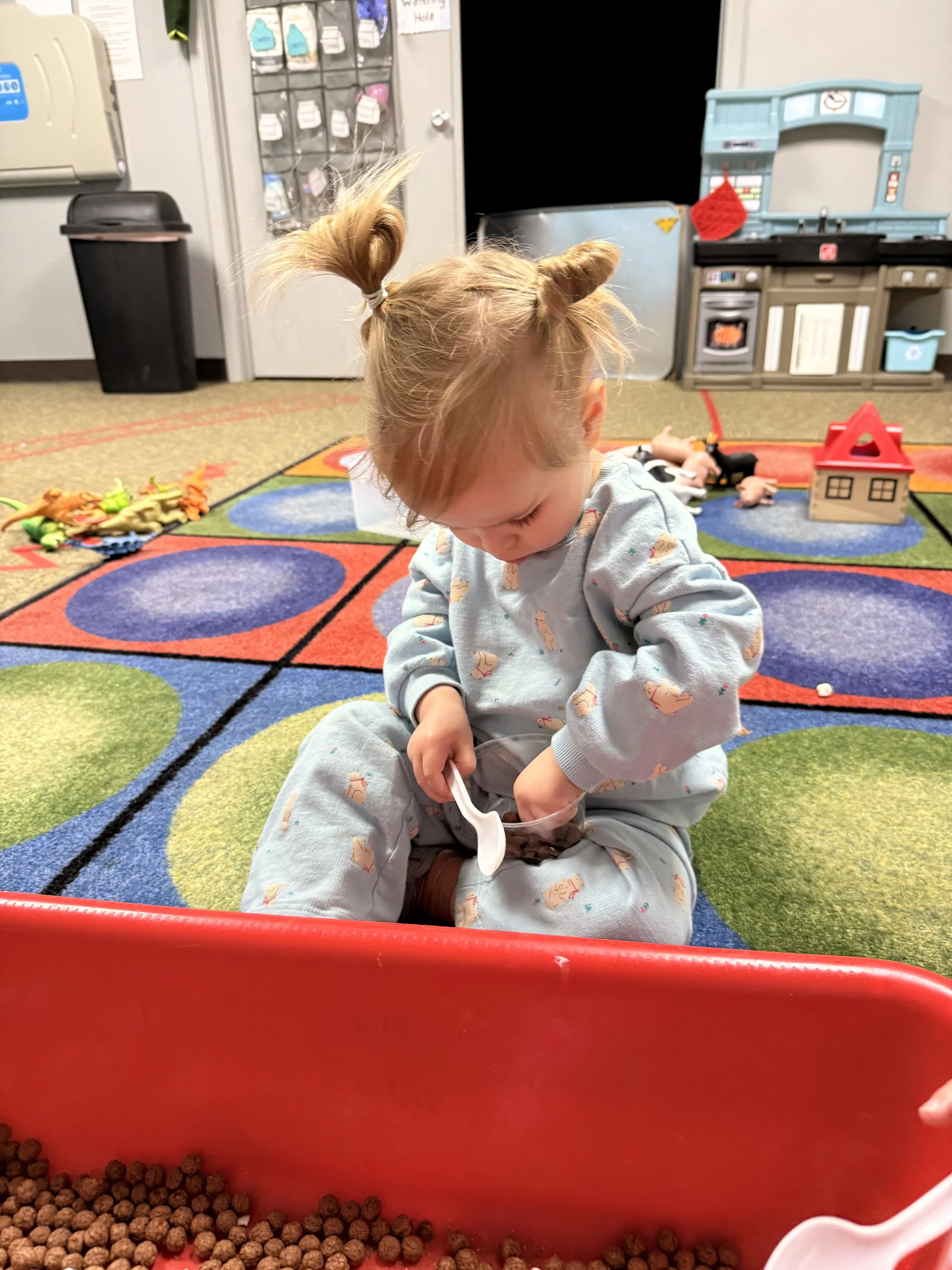 Photo Jan 14 2026, 9 15 15 AM.jpg