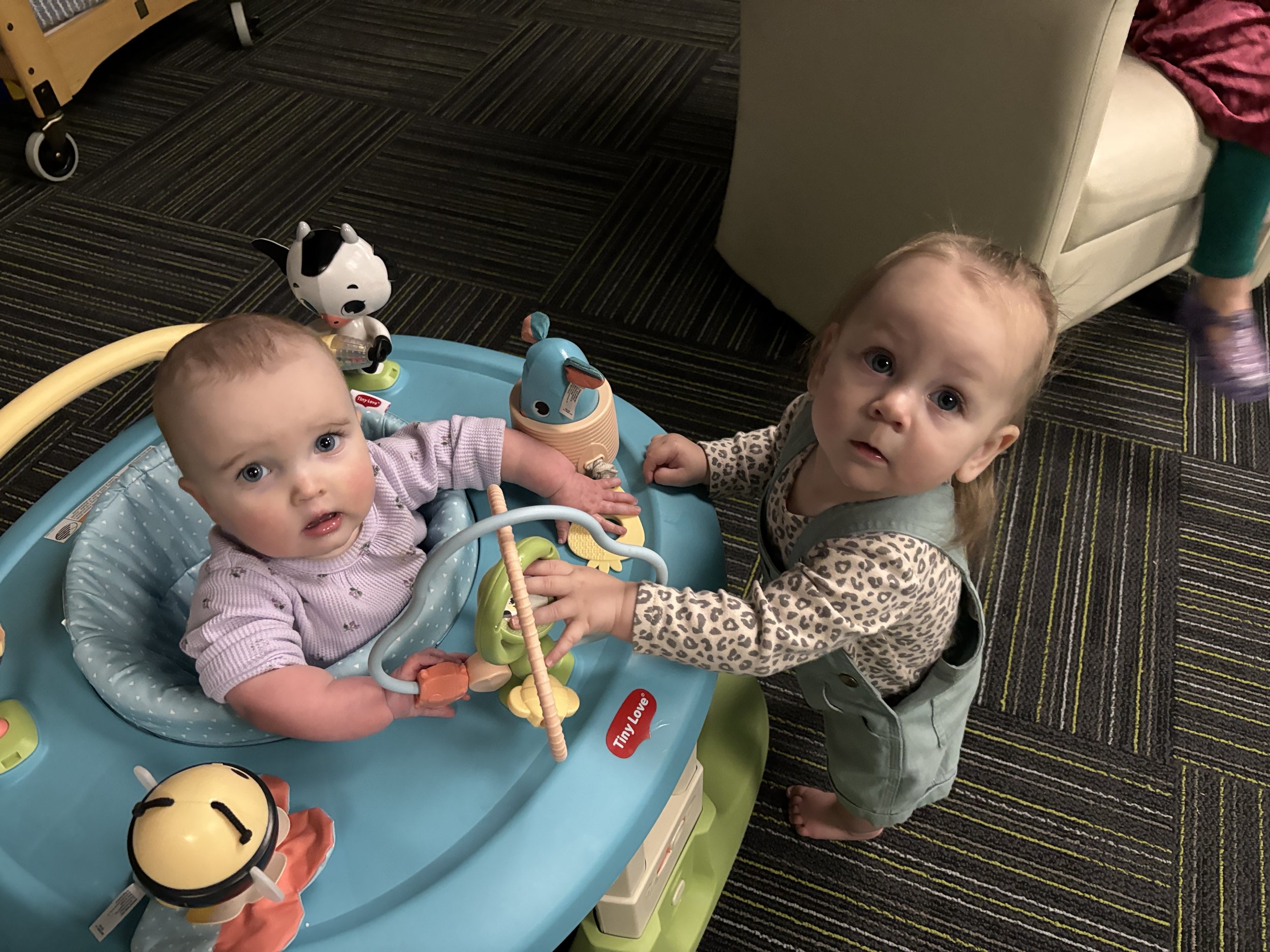 Photo Jan 05 2026, 3 40 46 PM.jpg