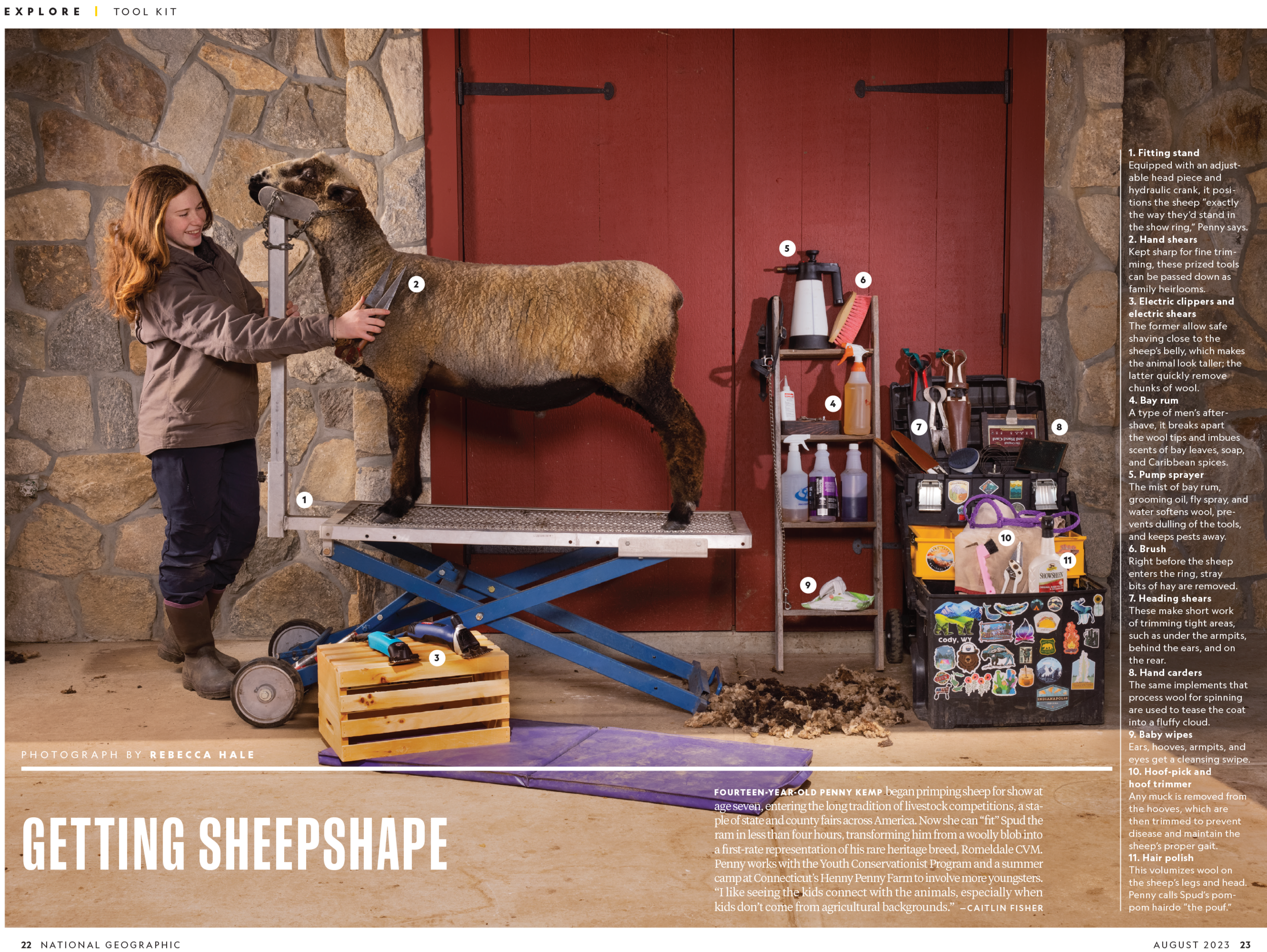 EX TL 4H Sheep_991003