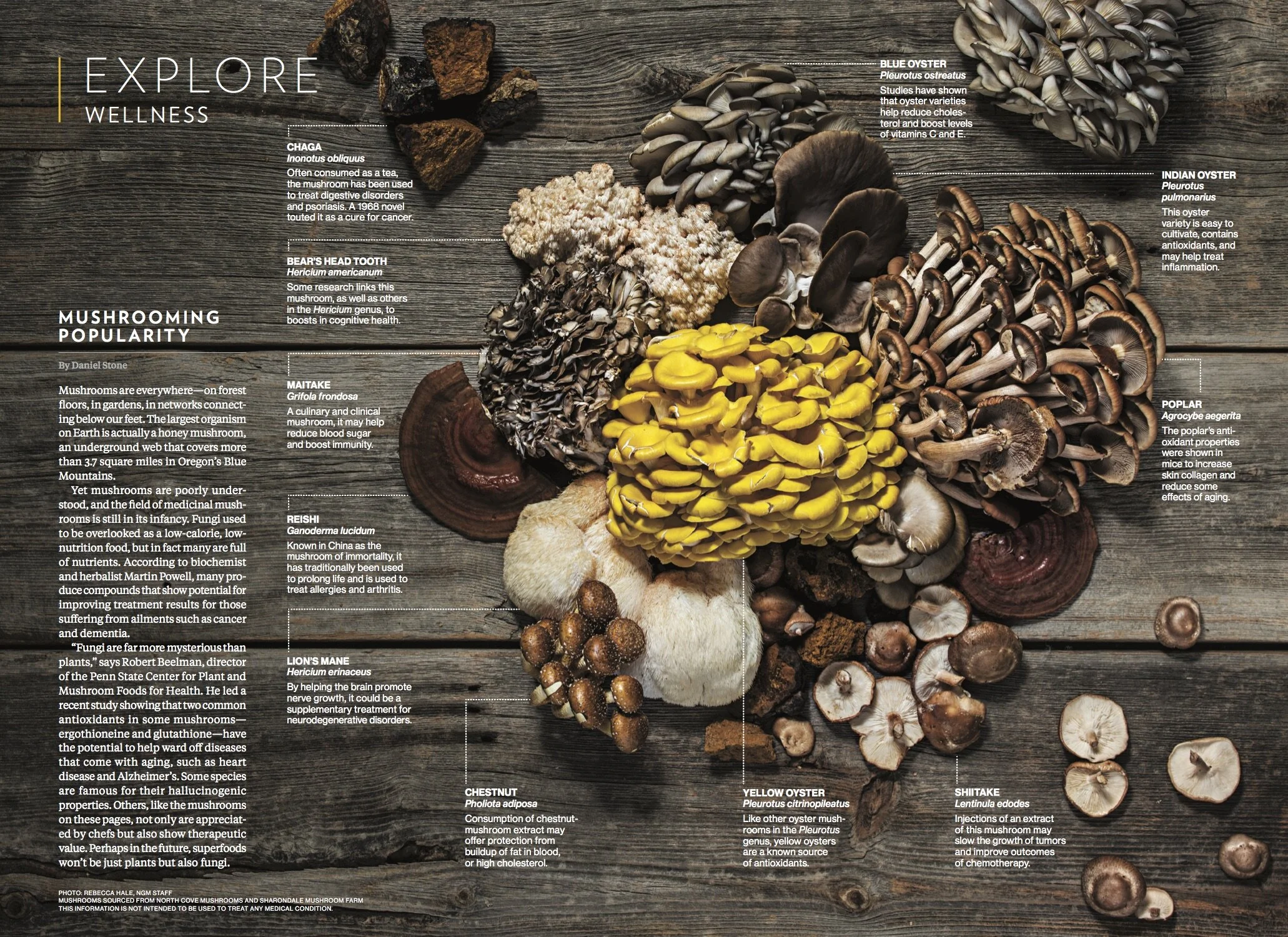 Mushrooms, NGM Toolkit