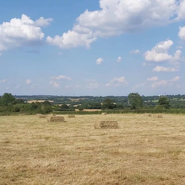 Great day of hay making ready for the cows to eat. This amazing food helps our cows produce our quality grass fed milk ready for you to enjoy.

#farmshop #farm #farmlife #farming #localbusiness #local #localproduce #bromsgrove #cow #dairymilk #dairy 