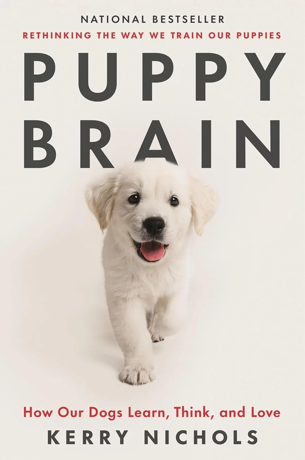 PUPPY BRAIN (1).jpg