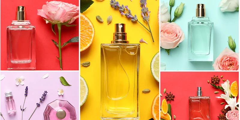 Best Scent Notes to