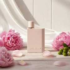 Calvin Klein Euphoria vs Burberry Her: Which Perfume Is Better in 2026?