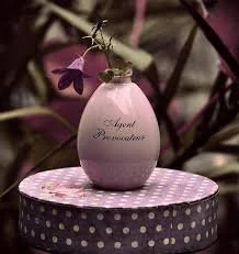 Agent Provocateur Perfume