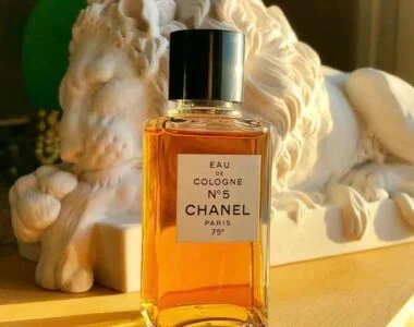Best Chanel Perfumes for Men