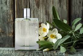 Top Fresh Perfumes for Summer 2026 (Clean, Cool &amp; Long Lasting)