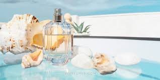 Best Summer Perfumes 2026 (Fresh &amp; Long Lasting Fragrances USA)