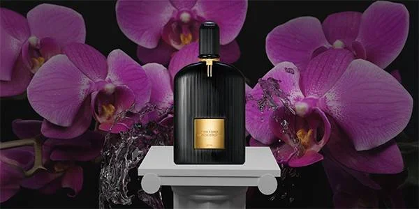 Top Seductive Perfumes 2026 (Most Attractive Fragrances That Turn Heads USA)