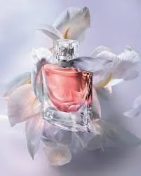 Top 10 Best-Selling Perfumes in the World (2026 Global Favorites)