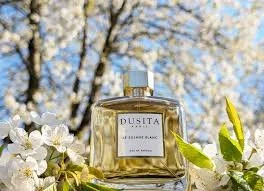 A Spring Forest in Le Sillage Blanc