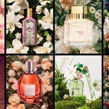 Top Powdery Perfumes That Smell Elegant (2026 Classic Fragrance Guide)