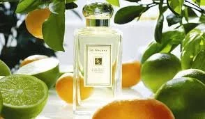 Best Fresh Citrus Perfumes for Summer (2026 Refreshing Fragrance Guide)