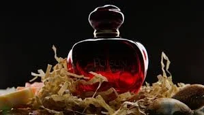 Top Warm Spicy Perfumes for Winter (2026 Cozy Fragrance Guide)