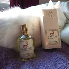 Cologne Sologne: Everything Turns for the Better (2026)