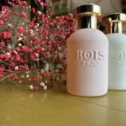 Bois 1920 Decisamente Rosa: A Bold and Delicious Take on Rose (2026)