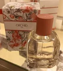 Top 5 Best Zara Perfumes Under Budget (Affordable &amp; Must-Try Picks)