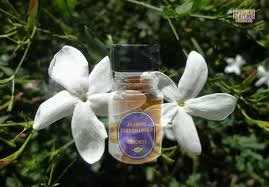 Aftelier Licorice and Jasmine: Detailed Natural Perfume Review