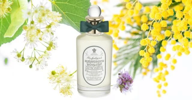 Considering Penhaligon's Bluebell at the Start of the Season