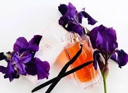 My Vanilla Diaries – Three Guerlain Vanillas Worn in Cairo (2026)