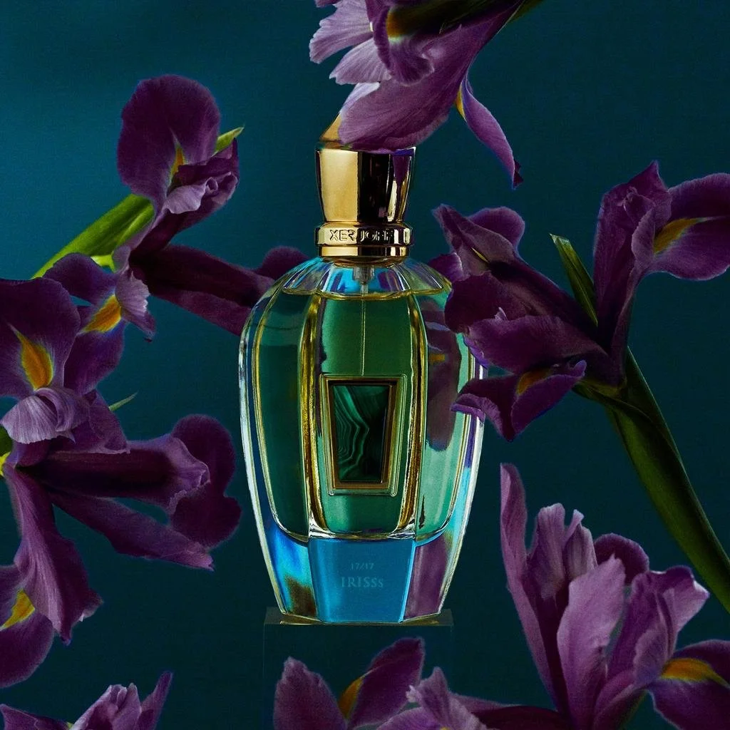 The Best Iris Compositions of Recent Years