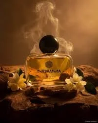 Souls on Fire by Neshama